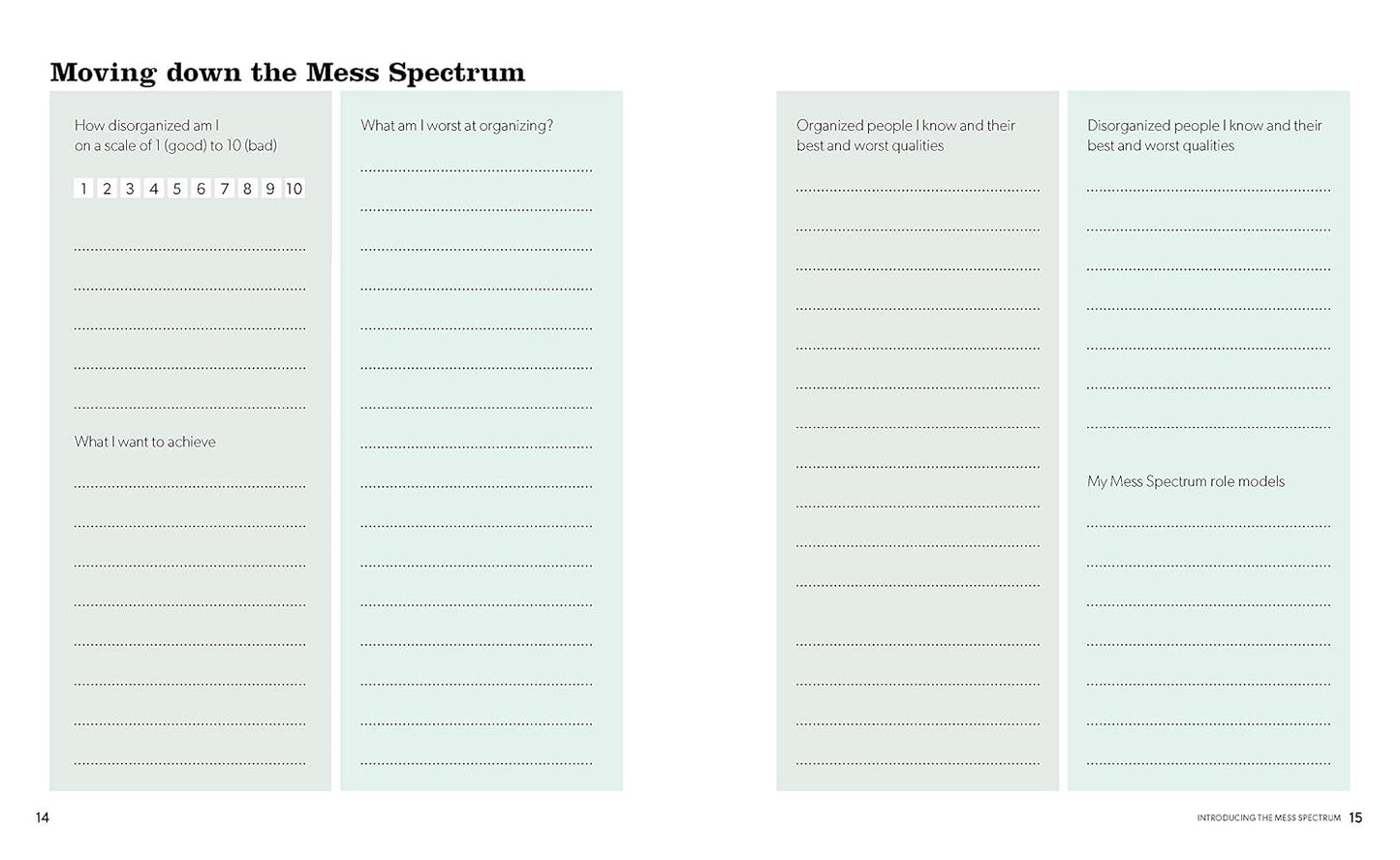 Sheet with text and checkboxes titled 'Moving down the Mess Spectrum' on a light green background.