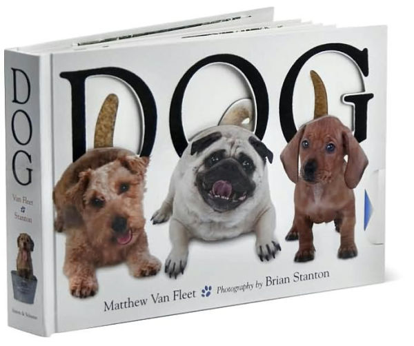 Dog by Matthew Van Fleet