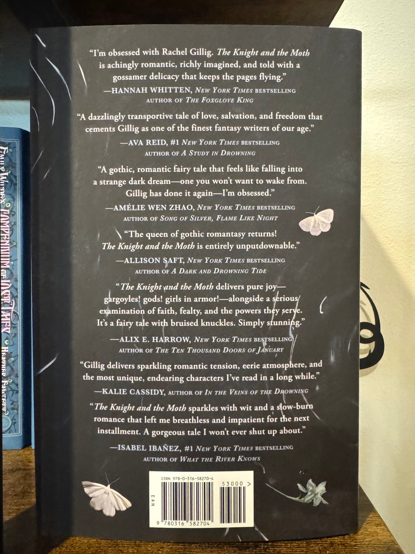 The Knight and the Moth - Hardcover