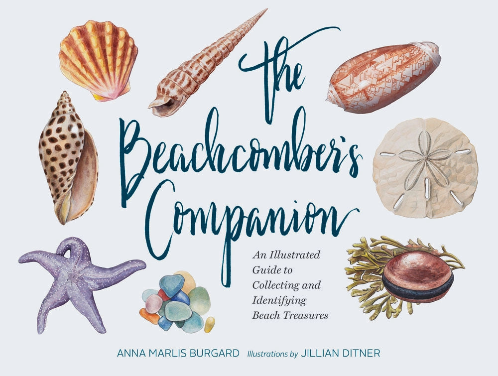 Book cover of 'The Beachcomber's Companion' with illustrations of shells and sea stars on a light blue background.