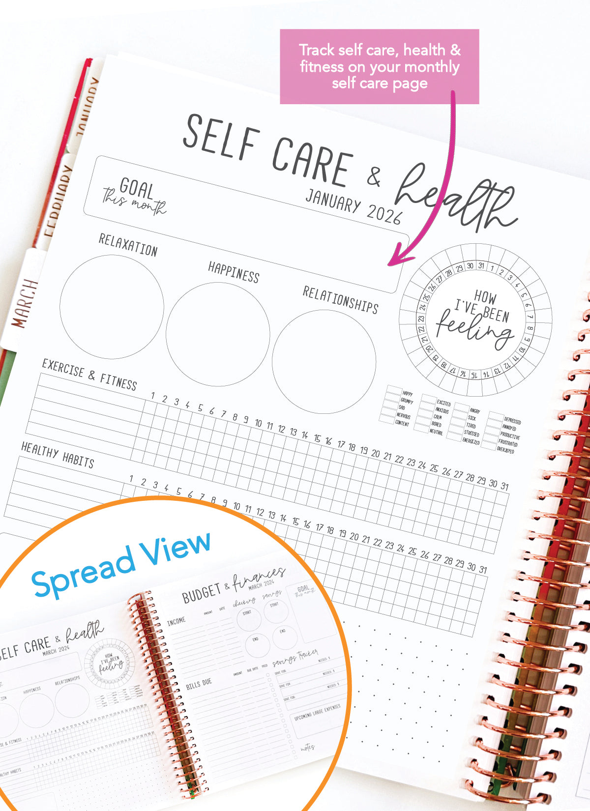 2026 Planner - Signature Layout, Spiral Bound - "Paradise" (#204)