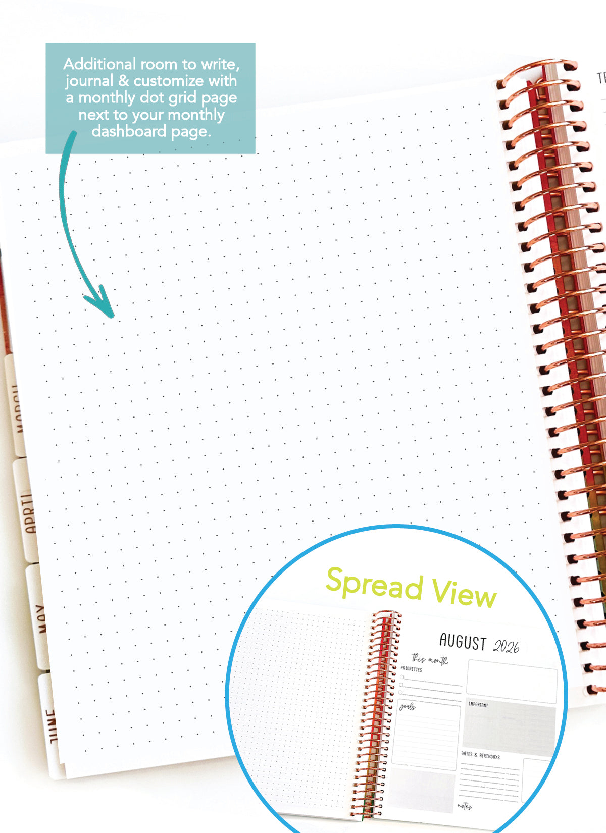2026 Planner - Signature Layout, Spiral Bound - "Paradise" (#204)