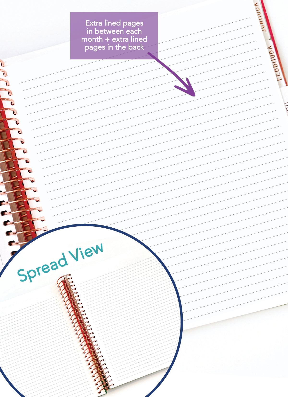 2026 Planner - Vertical Layout, Spiral Bound - "Sorrento" (#301)