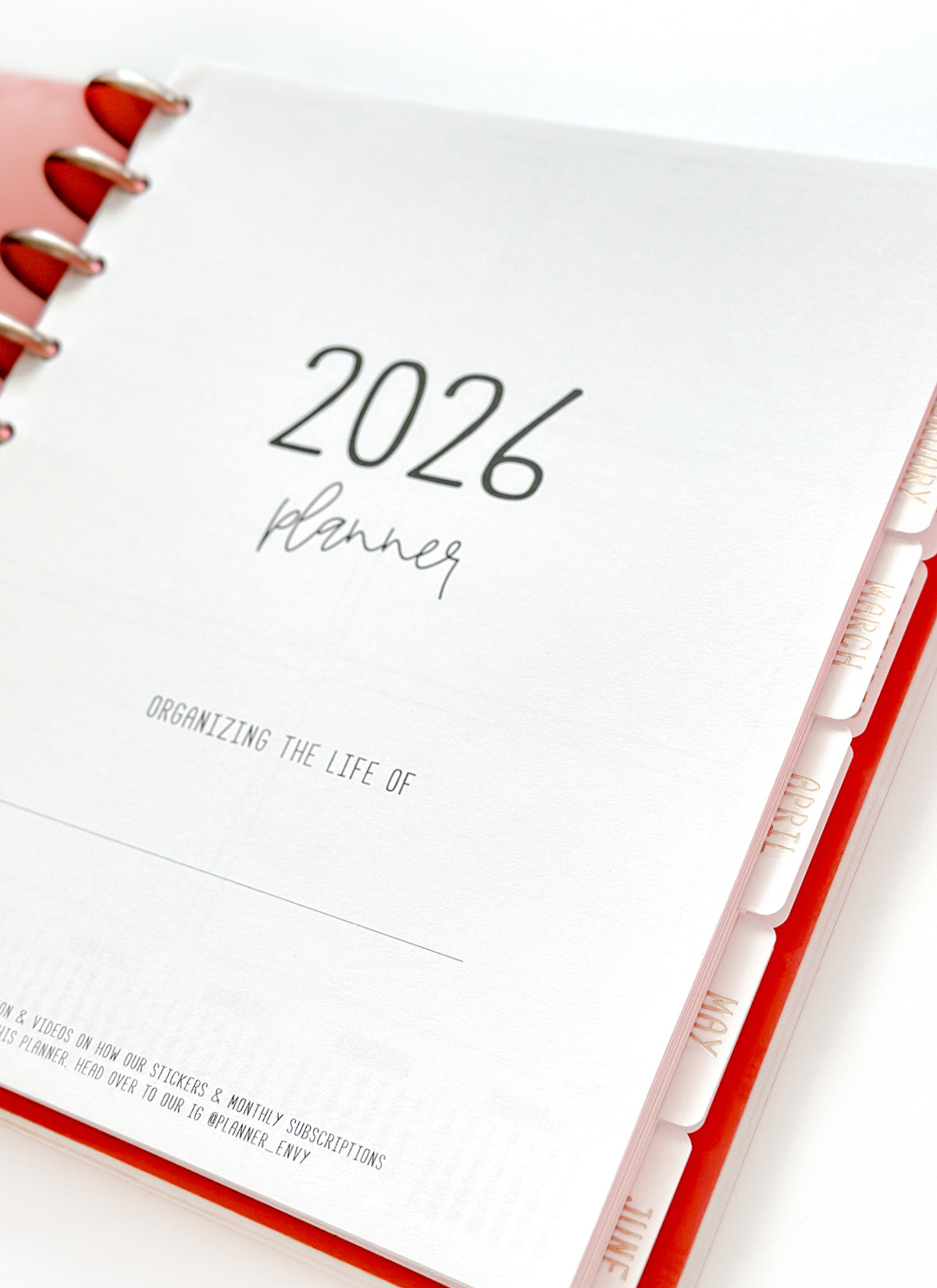 2026 Planner - Horizontal Layout, Disc Bound - "Whimsical" (#702)