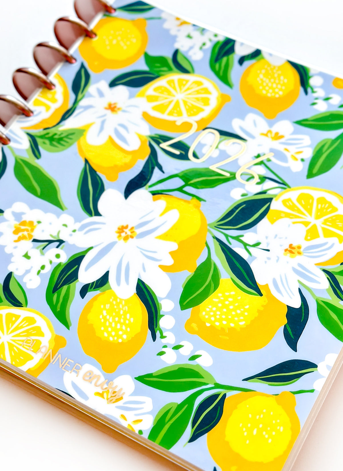 2026 Planner - Vertical Layout, Disc Bound - "Sorrento" (#901)