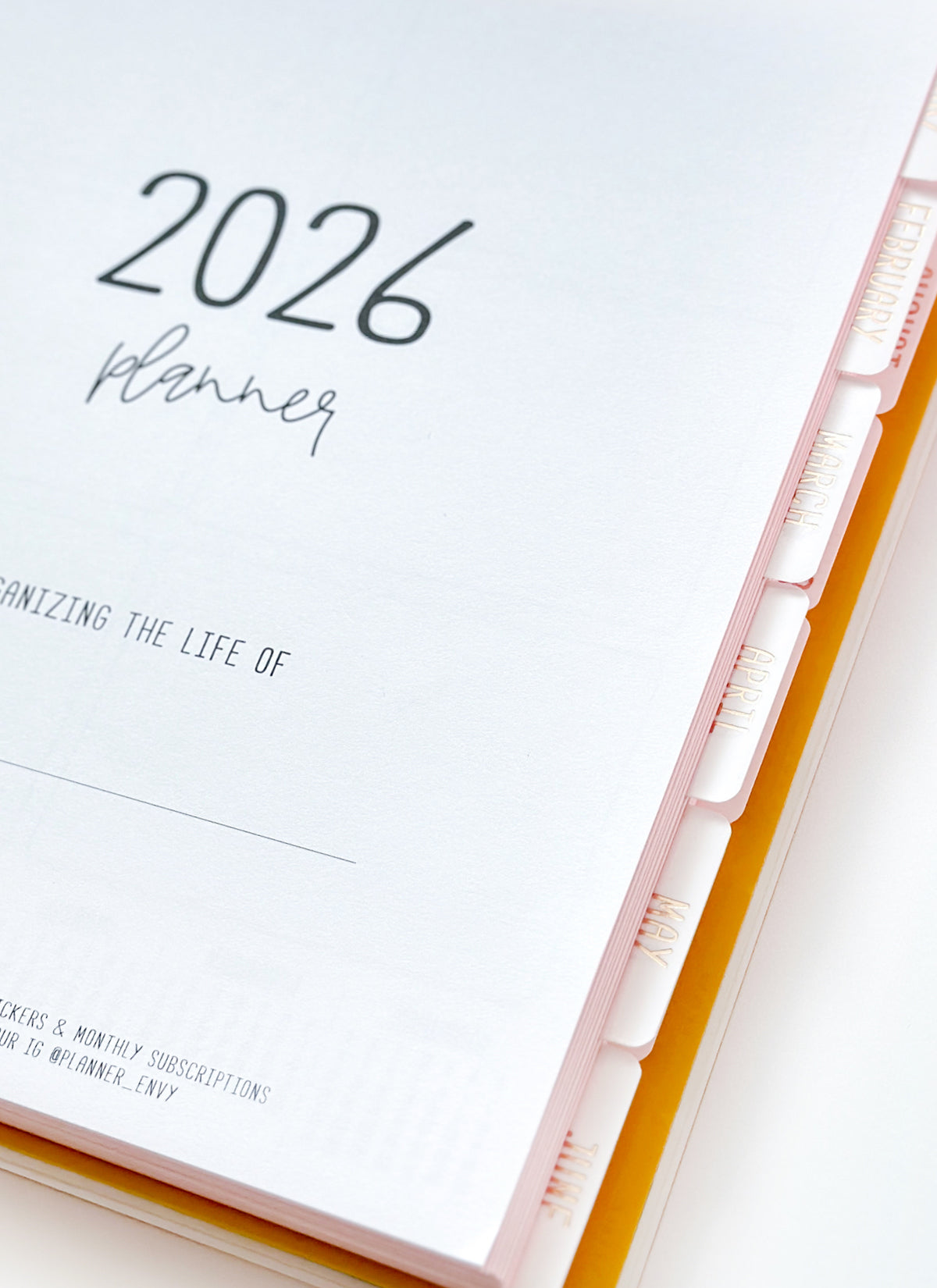 2026 Planner - Vertical Layout, Disc Bound - "Sorrento" (#901)