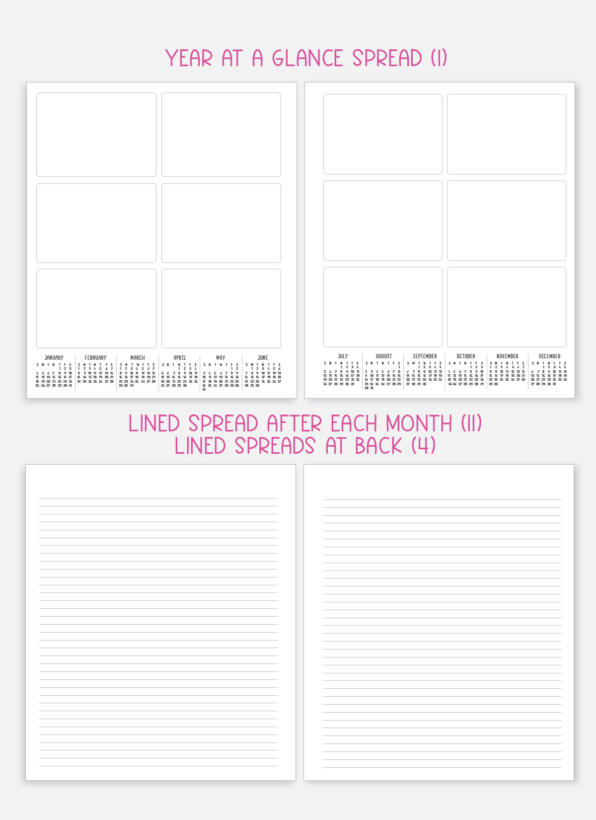 2026 Planner - Signature Layout, Spiral Bound - "Paradise" (#204)