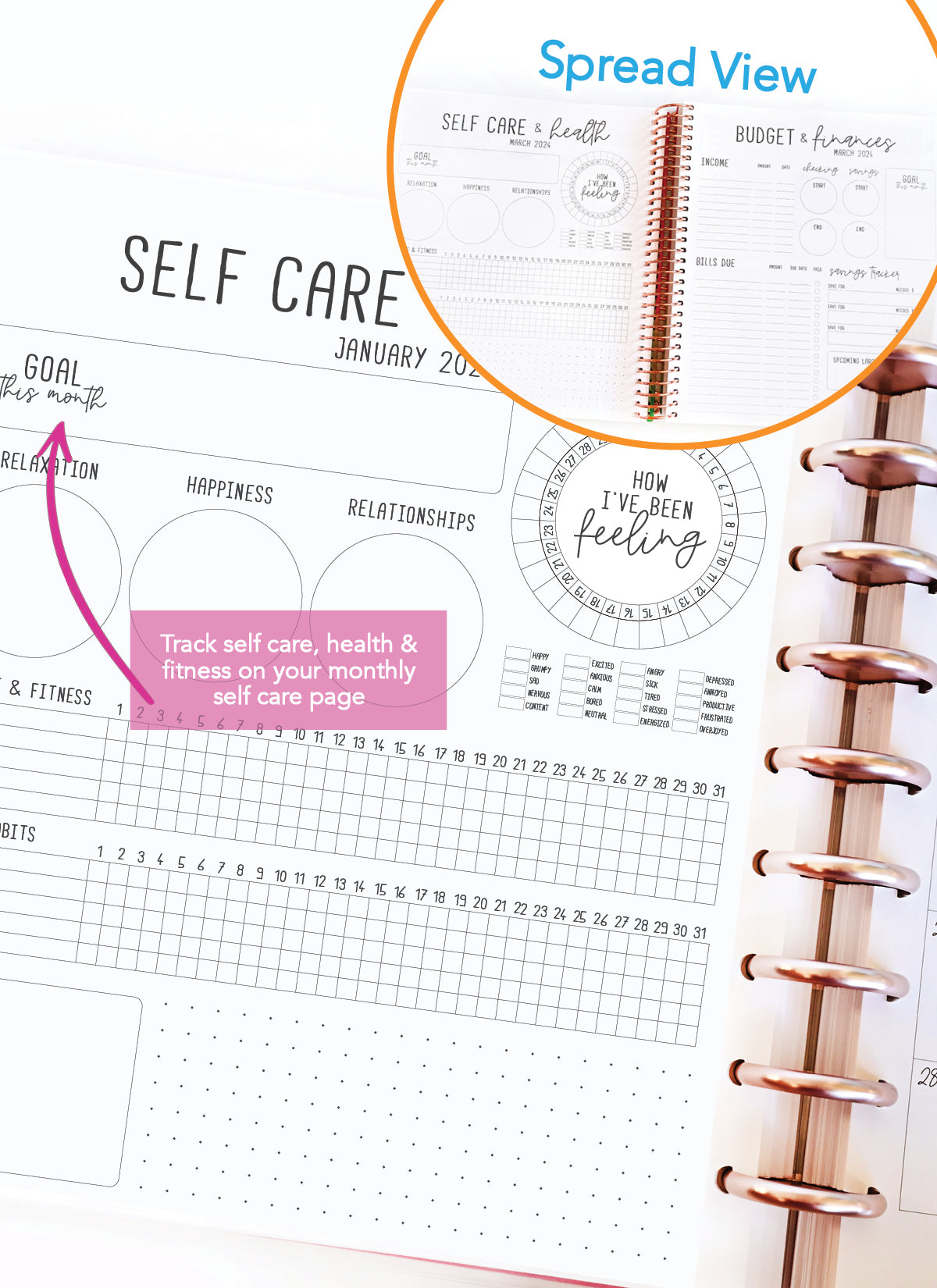 2026 Planner - Horizontal Layout, Disc Bound - "Whimsical" (#702)