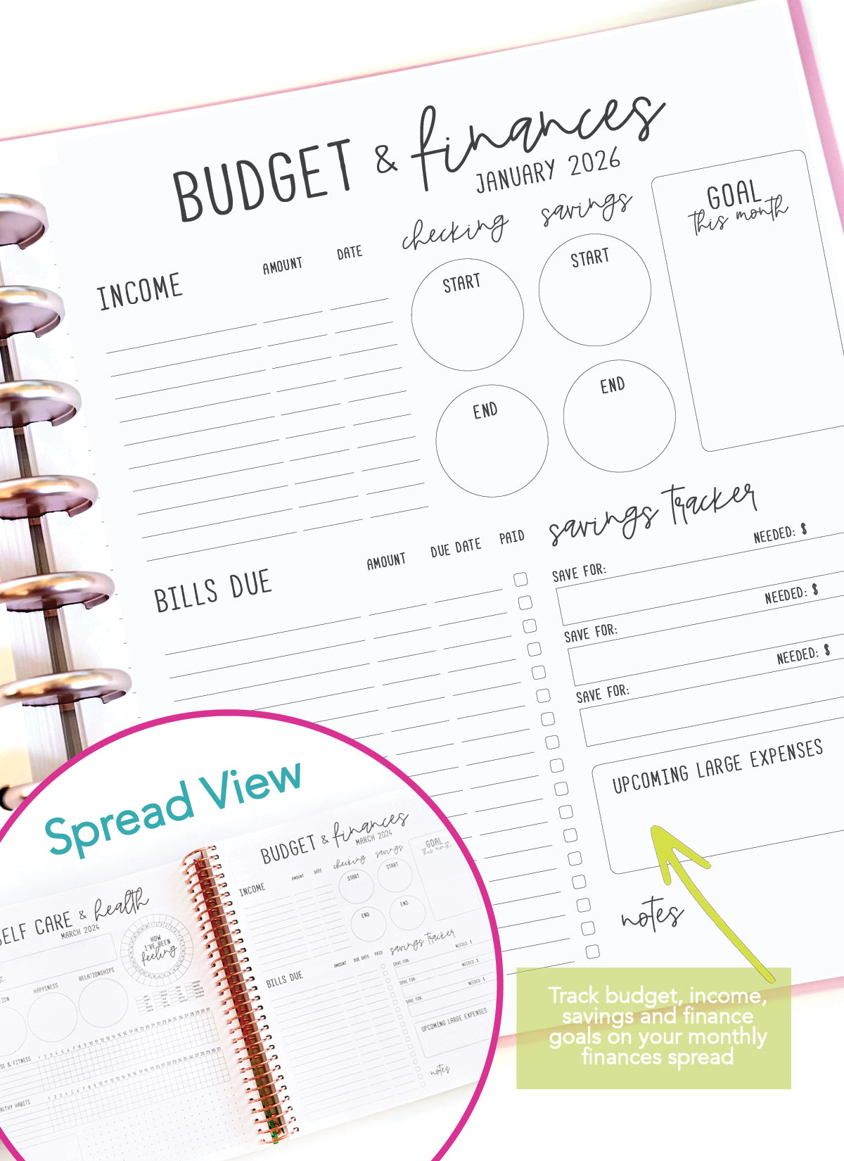 2026 Planner - Signature Layout, Disc Bound - "Whimsical" (#802)