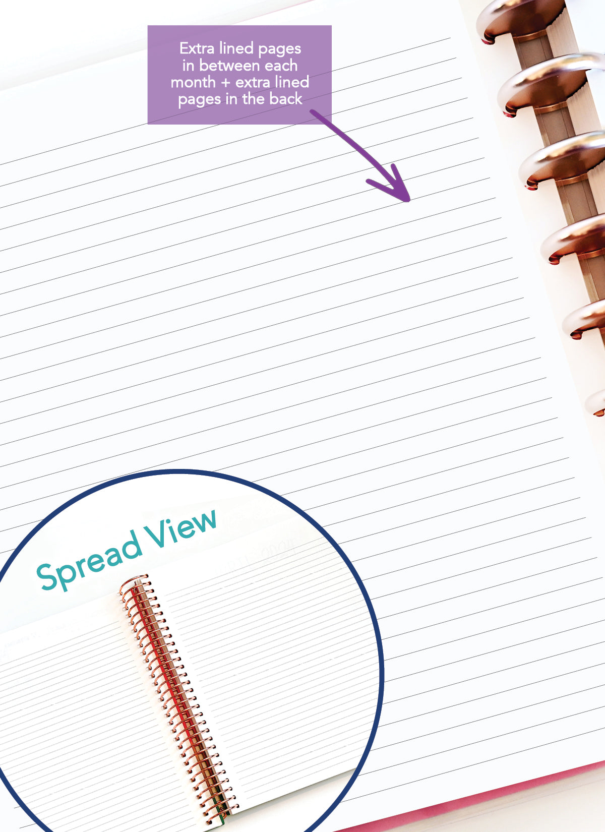 2026 Planner - Vertical Layout, Disc Bound - "Sorrento" (#901)