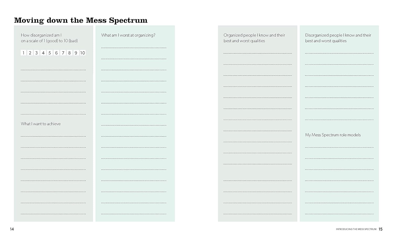 Sheet with text and checkboxes titled 'Moving down the Mess Spectrum' on a light green background.