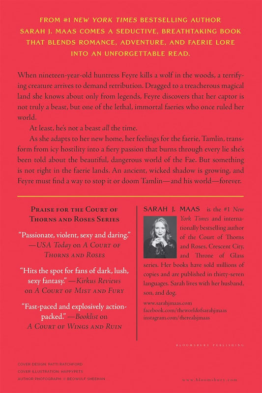 Book cover of 'A Court of Wanes and Ruin' with promotional text and author information.