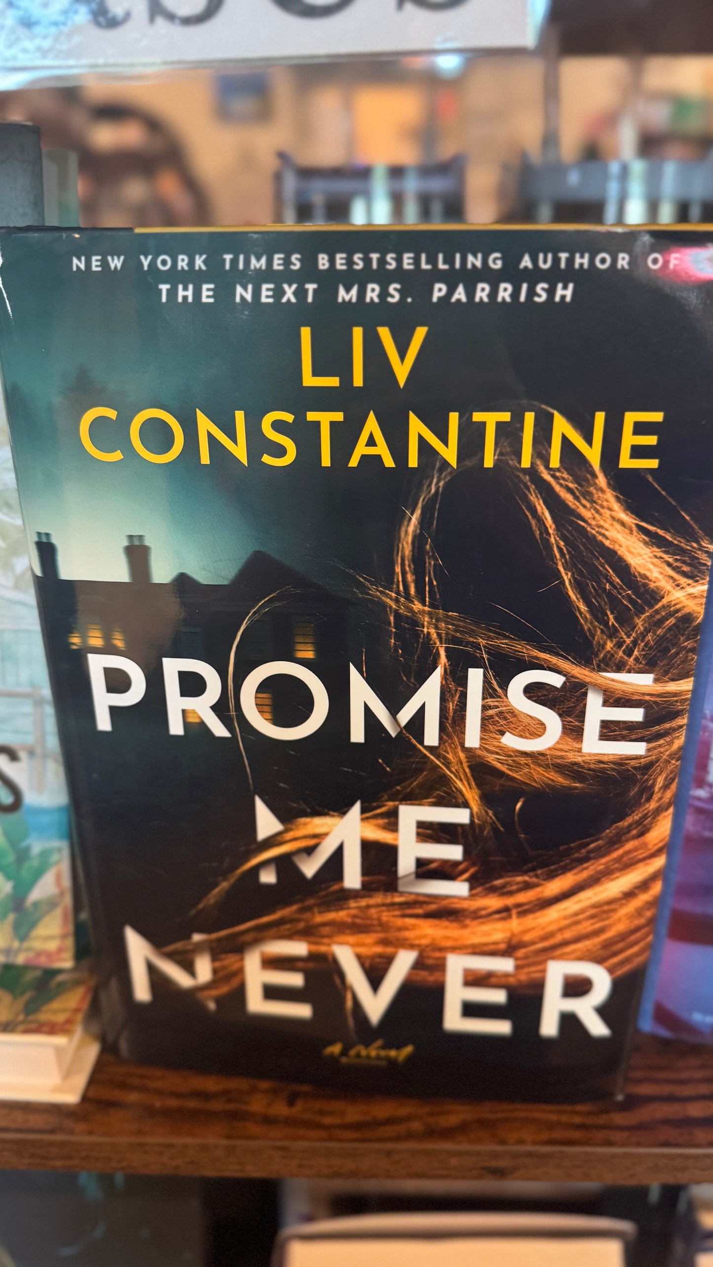 Promise Me Never: A Novel by Liv Constantine